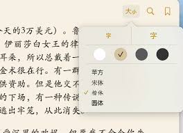ooks如何调整字体大小CQ9电子游戏网站iB(图3)